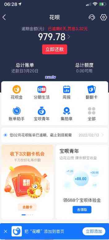 支付宝花呗逾期未还截图-支付宝花呗逾期未还截图能用吗