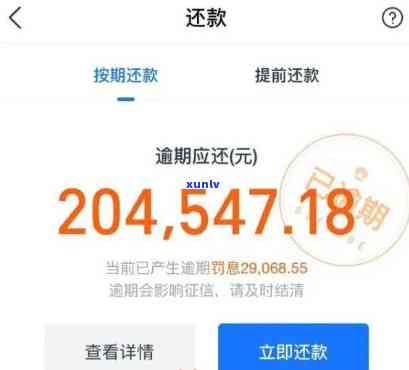 支付宝借呗逾期还款截图-支付宝借呗逾期照片截图