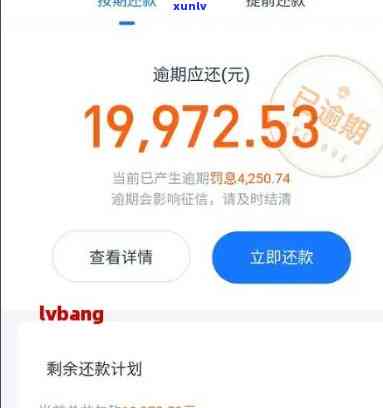 支付宝借呗逾期还款截图-支付宝借呗逾期照片截图