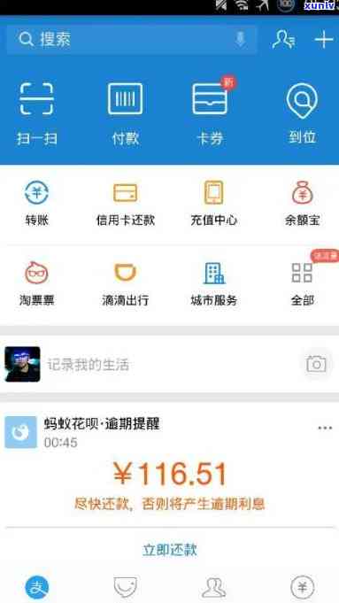 支付宝花呗逾期几百截图-支付宝花呗逾期几百截图能用吗