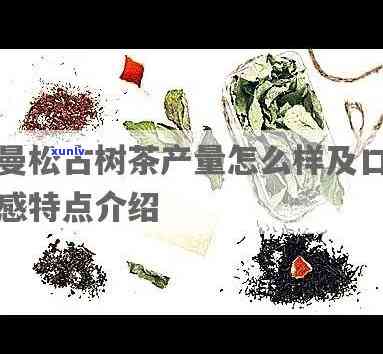 曼松有古树茶吗，探寻古老韵味：揭秘曼松古树茶的魅力