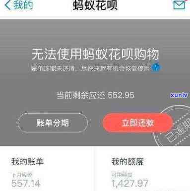 支付宝花呗逾期被封截图-支付宝花呗逾期封了要到什么时候才可以用