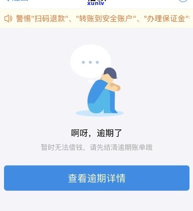 支付宝借呗不逾期的截图-支付宝借呗不逾期的截图是真的吗