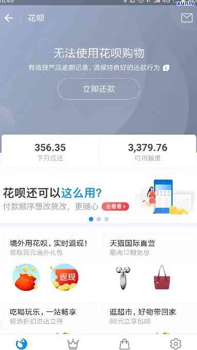 支付宝花呗逾期还款截图-支付宝花呗欠款逾期截图