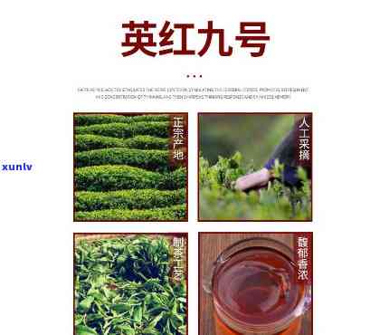 英九红茶是用什么茶叶做的，揭秘英九红茶的 *** 原料：它是由什么茶叶制成的？