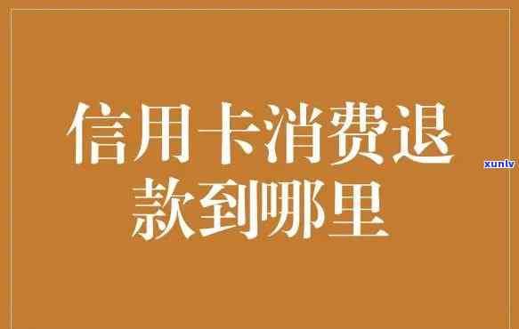 无意中办了信用卡要怎么退钱？详解退款流程及注意事