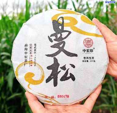 易武曼松古树茶熟茶普洱茶，品味古韵：探索易武曼松古树茶熟茶普洱茶的独特魅力