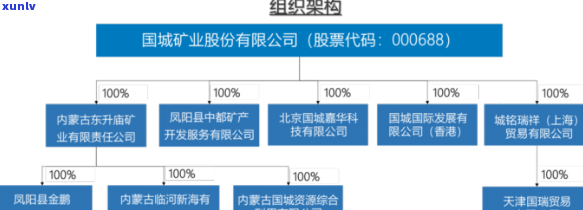 塞曼控股集团，探索塞曼控股集团：商业帝国的崛起与影响力