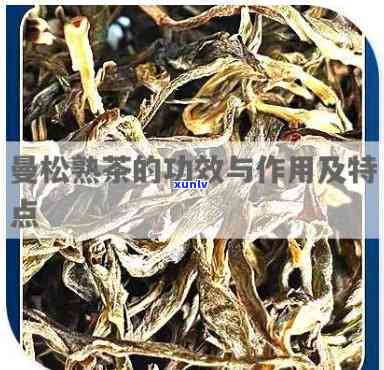 云南曼松茶的特点，探寻云南曼松茶的独特魅力：特点解析