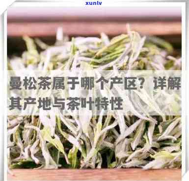 云南曼松茶的特点，探寻云南曼松茶的独特魅力：特点解析