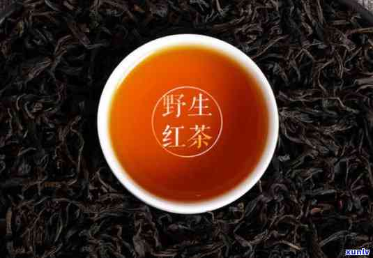 野生红茶是高档茶吗-野生红茶多少一斤