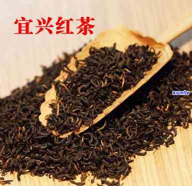 宜兴红茶是什么品种？深入了解这种独特的茶种