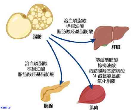 '寻找质量优良、价格合理的翡翠原石供应商，请推荐'