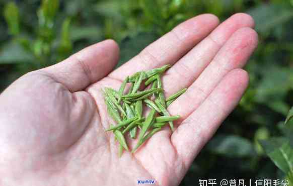 绿茶之一泡要倒掉吗，绿茶初泡需倒掉吗？揭开茶叶冲泡的奥秘