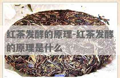 红茶是半发酵茶叶吗？详解其发酵过程与特点