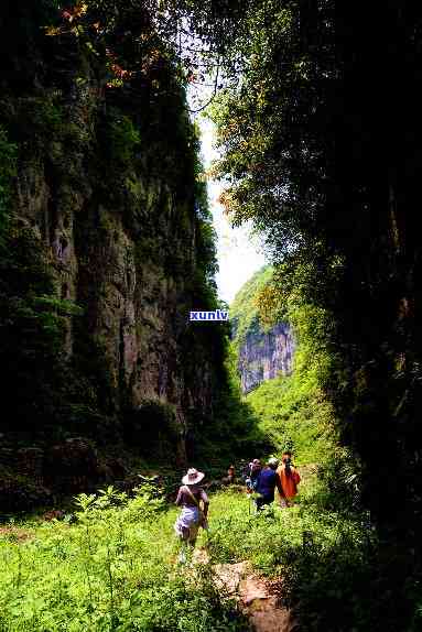 利川市星斗山，探索神秘的利川市星斗山：自然与人文的完美结合