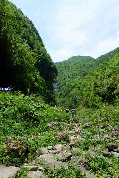 利川市星斗山，探索神秘的利川市星斗山：自然与人文的完美结合