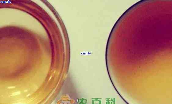 红茶菌只能用红茶吗？绿茶可以替代吗？