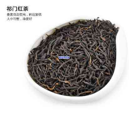 四大高香红茶是什么-四大高香红茶是什么品种