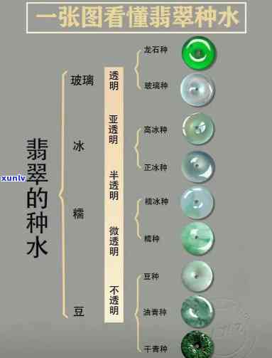 普洱茶批发报价大全：全面了解各类普洱茶的价格及购买渠道