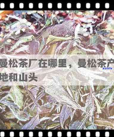 曼松属于哪个茶山？揭秘曼松茶山位置与特色