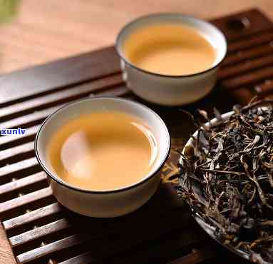 曼松普洱茶特点简介，探秘曼松普洱茶的独特魅力：特点简介