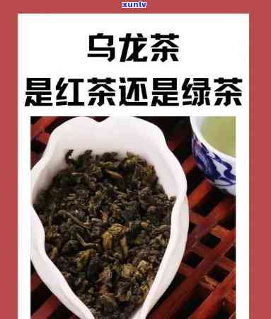 红龙茶属于什么茶类？详解其品种归属