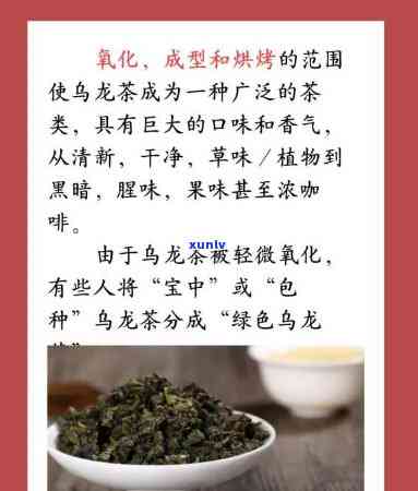 龙茶、黑乌龙茶、冻顶乌龙茶：是红茶还是绿茶？