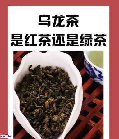 龙茶、黑乌龙茶、冻顶乌龙茶：是红茶还是绿茶？