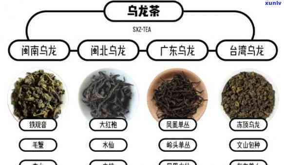 龙茶、黑乌龙茶、冻顶乌龙茶：是红茶还是绿茶？