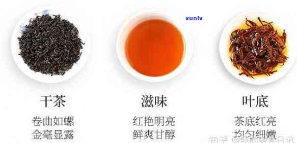 红茶中的是什么茶叶，寻找口感：红茶中的顶级茶叶种类