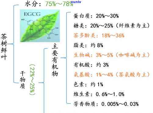 红茶的成分是什么？详解其含义与构成物质