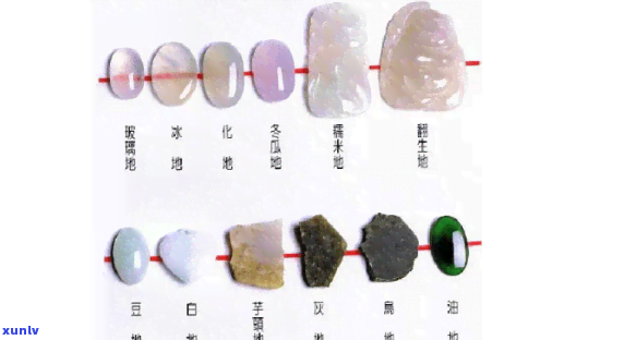 翡翠的知识和介绍，深入解析：翡翠的种类、鉴定与保养知识全解