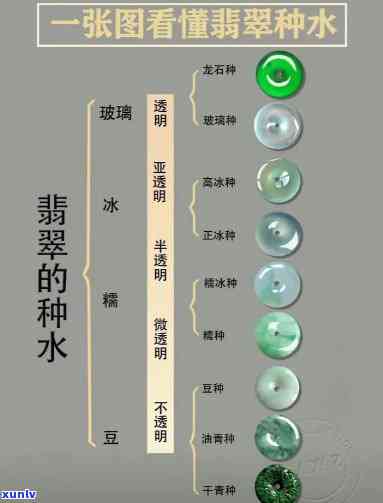 深入了解翡翠：解释与文化知识全解析