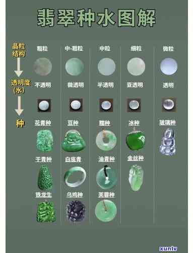 深入了解翡翠：解释与文化知识全解析