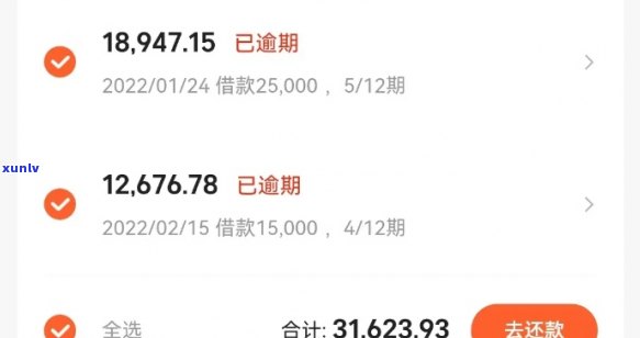 23岁欠债20万：从欠款到还款的艰难之路