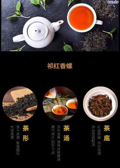 普洱冰岛茶龙珠价格