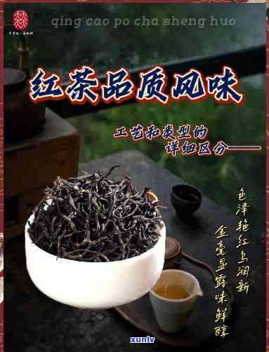 新疆红茶，品味新疆，领略红茶魅力——探寻中国最美的红茶产地