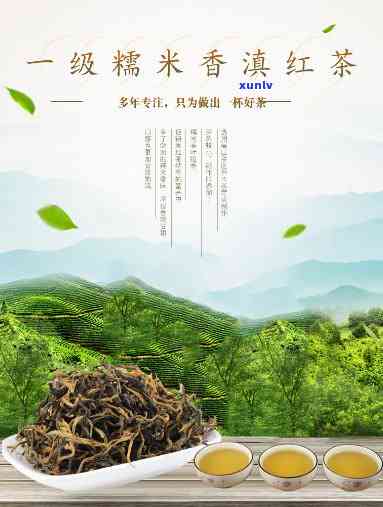 询问糯米香红茶价格：多少钱一斤？