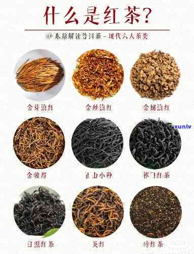 红茶属于什么产品，探秘红茶：它属于哪种类型的产品？