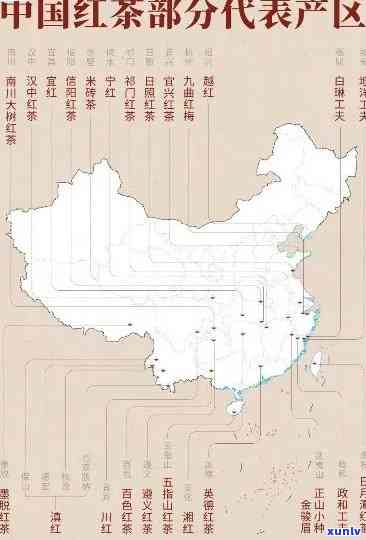 云南大叶种植普洱茶