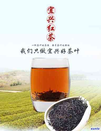 江宜兴的红茶简称-产于江宜兴的红茶简称