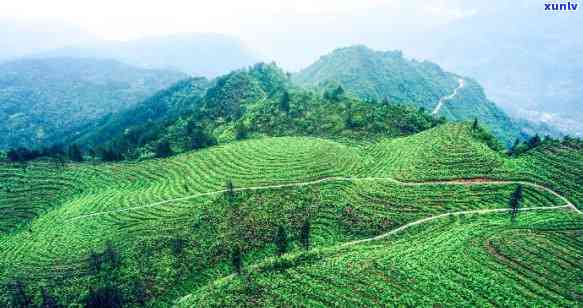 湖北宗雅利川红茶城-利川宗雅地产