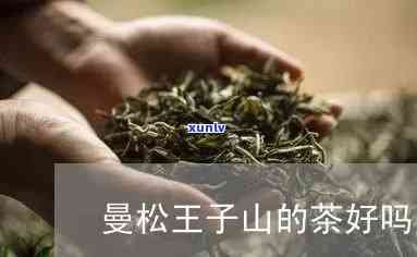 曼木松王子茶怎么样-曼木松王子茶怎么样好喝吗