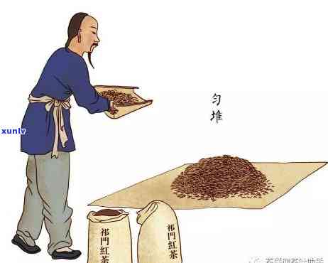 红茶怎么做的，揭秘红茶的 *** 过程：从茶叶到茶杯的完整解析