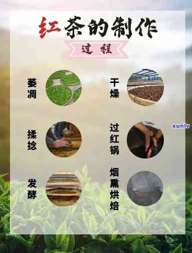 红茶怎么做的，揭秘红茶的 *** 过程：从茶叶到茶杯的完整解析