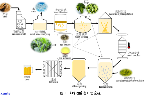 深入理解红茶冷发酵工艺流程视频教程