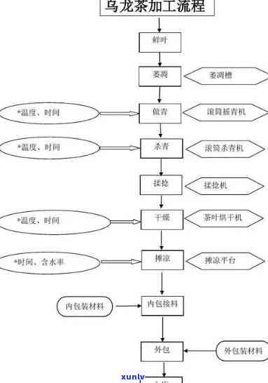 红茶冷发酵工艺流程图解，详解红茶冷发酵工艺流程图