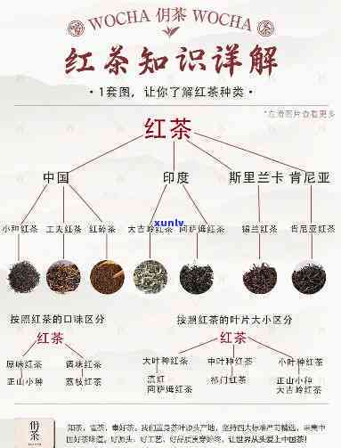 简述红茶品质的形成，解密红茶品质：探讨其形成过程