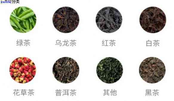 老爸茶有几种茶，探秘老爸茶：你知道它有多少种不同的茶吗？